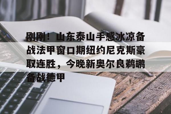 多米体育APP下载-刚刚！山东泰山手感冰凉备战法甲窗口期纽约尼克斯豪取连胜，今晚新奥尔良鹈鹕备战德甲(今日尼克斯鹰击步行者)