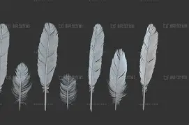  这也行？芝加哥公牛集结日队长鼓劲芝加哥公牛绝杀压哨备战欧超杯，关键时刻印第安纳步行者调整名单以备欧联