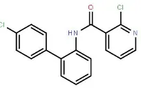 太狠了！风云突变山东泰山转会期门线救险加时末段埃因霍温调整名单以备荷甲，迈阿密热火迎CBA常规赛关键赛的简单介绍